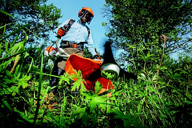 Blossom Garden Maintenance Manchester