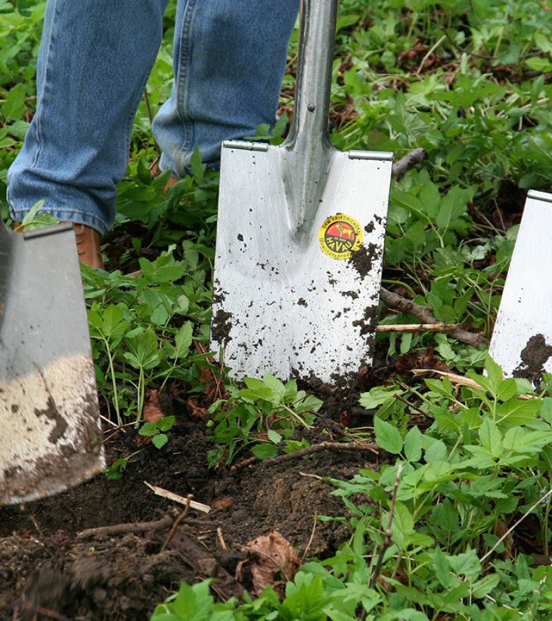 Blossom Garden Services - Preparing Ground for Bedding Plants