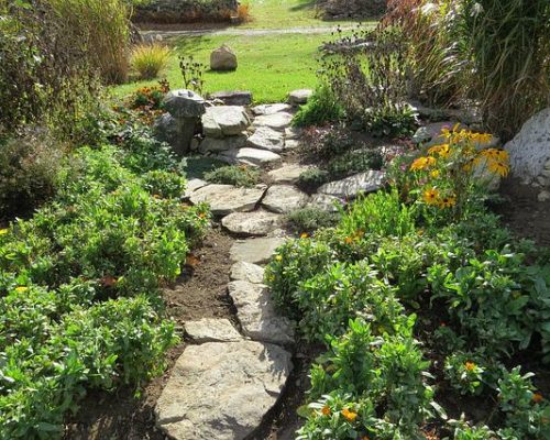 Paved Garden